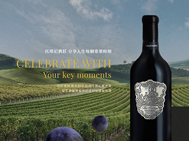 托搭尼酒莊 網頁設計案例縮圖