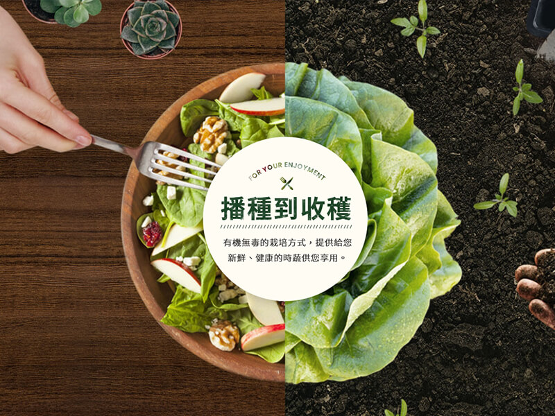 拈花微笑 網頁設計案例縮圖