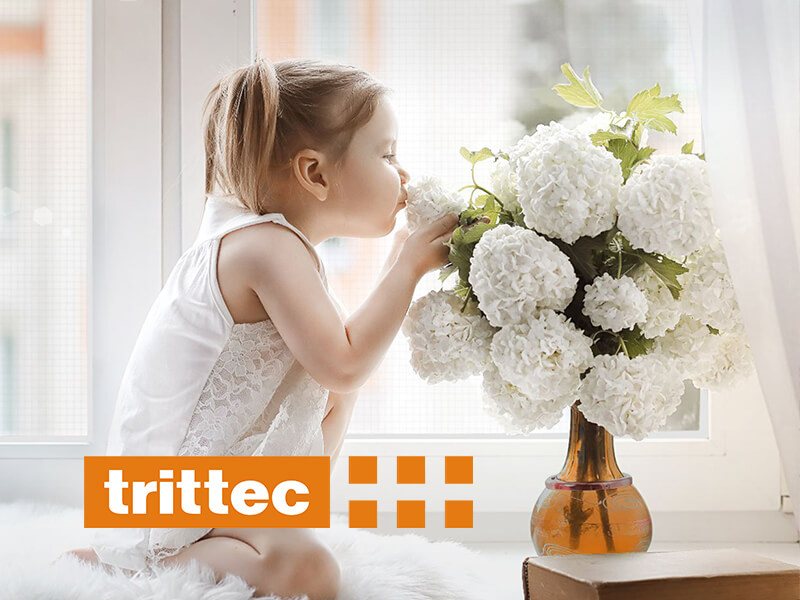 桓大國際有限公司 網頁設計案例縮圖